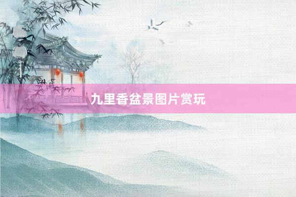 九里香盆景图片赏玩